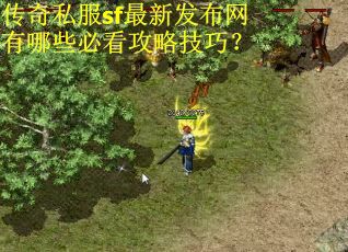 传奇私服sf最新发布网有哪些必看攻略技巧？