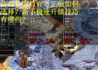 传奇私服与官方正版如何选择？新手快速升级技巧有哪些？