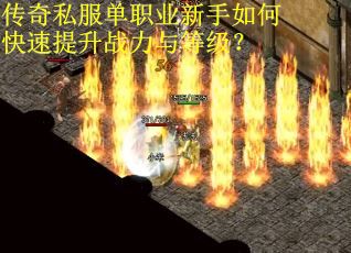 传奇私服单职业新手如何快速提升战力与等级？