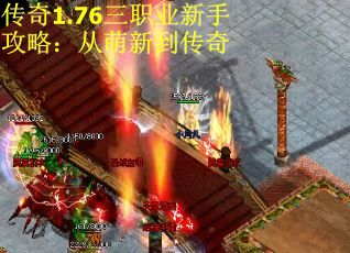 传奇1.76三职业新手攻略：从萌新到传奇