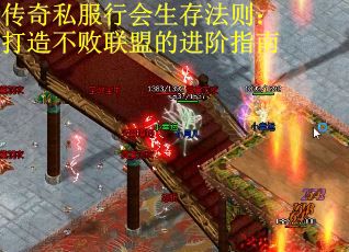 传奇私服行会生存法则：打造不败联盟的进阶指南
