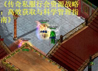 《传奇私服行会资源战略：高效获取与科学管理指南》