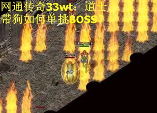 网通传奇33wt：道士带狗如何单挑BOSS？